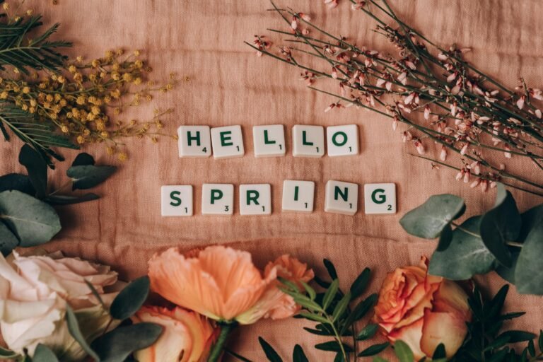 spring home reset