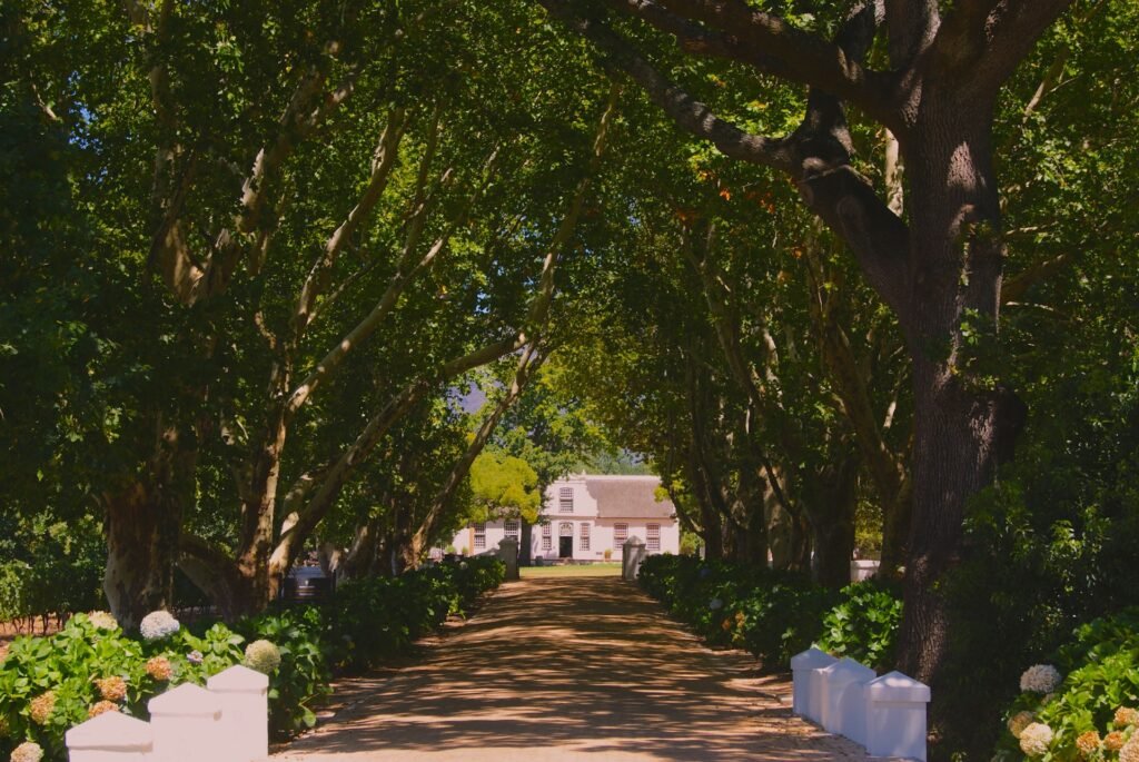 Luxury vineyard view in Franschhoek during golden hour with mountains, wine estate seating, and a soft luxury travel atmosphere