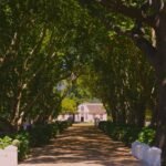 Luxury vineyard view in Franschhoek during golden hour with mountains, wine estate seating, and a soft luxury travel atmosphere
