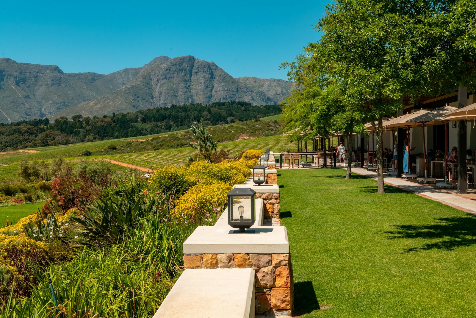 Scenic Stellenbosch wine estate with vineyards, mountains, and outdoor wine tasting at golden hour